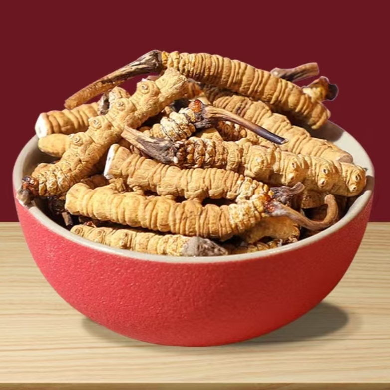 【高海拔断草冬虫夏草】正宗藏区冬虫夏草滋补高海拔虫草CCC