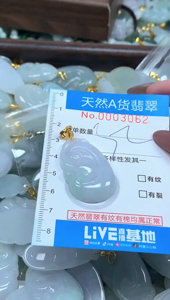 颈饰未镶嵌翡翠净货挂件-3062