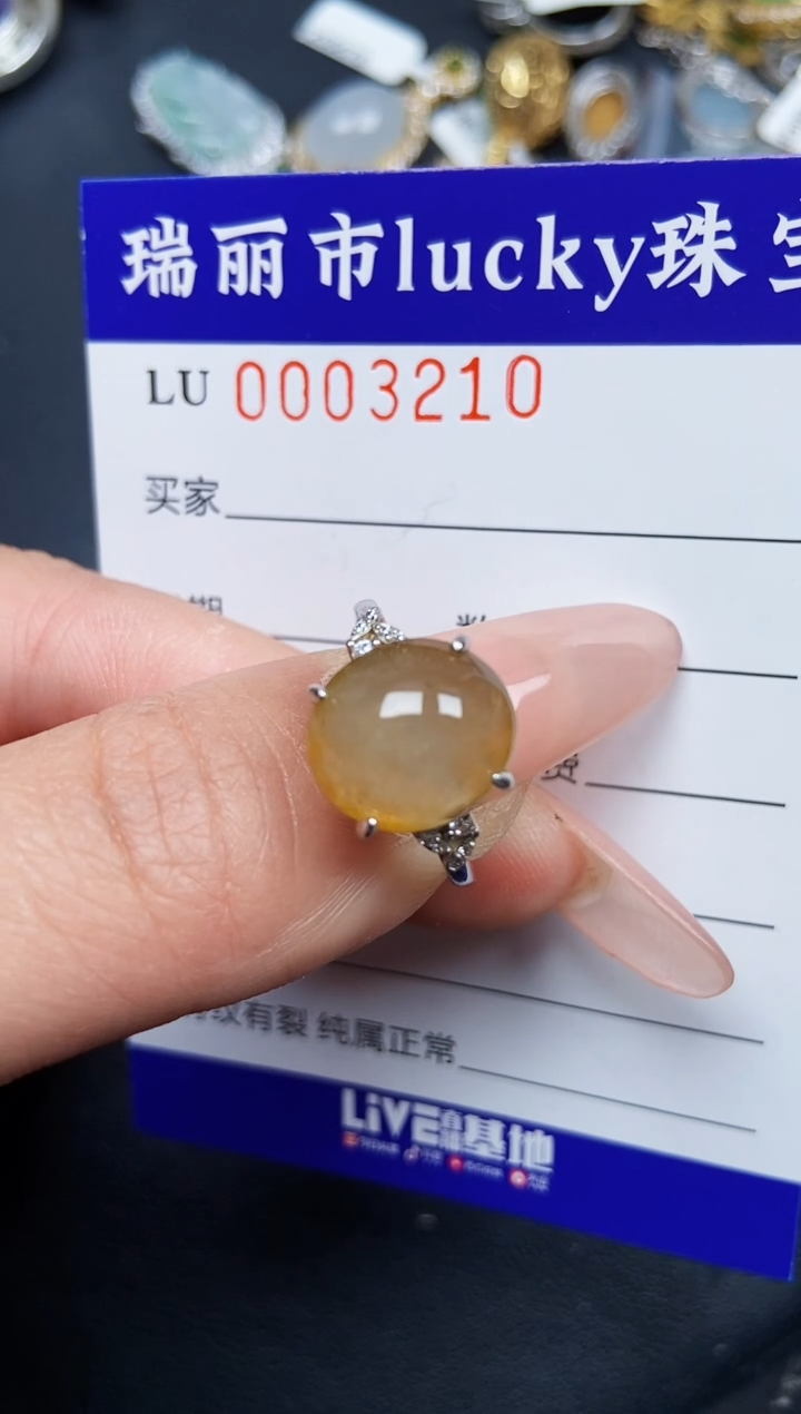 【闪购商品】翡翠颈饰银S925镶嵌3210