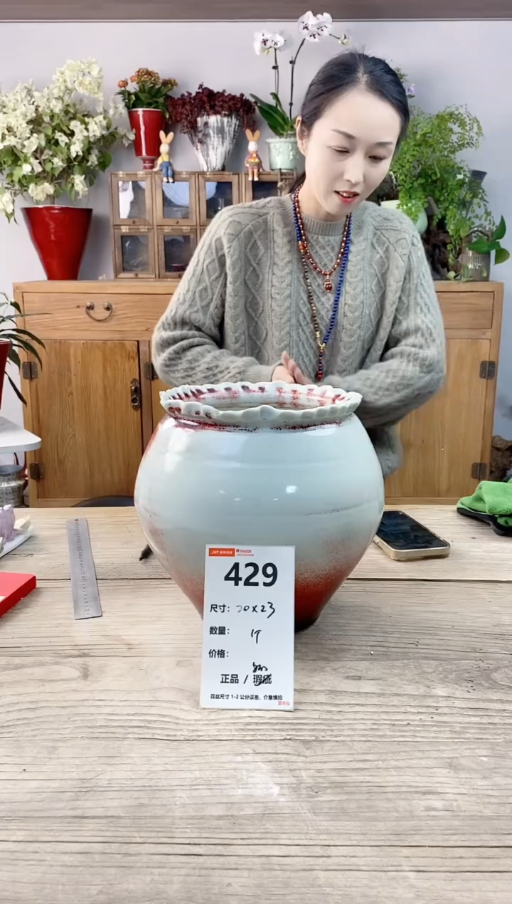 小玩子花盆直播编号429