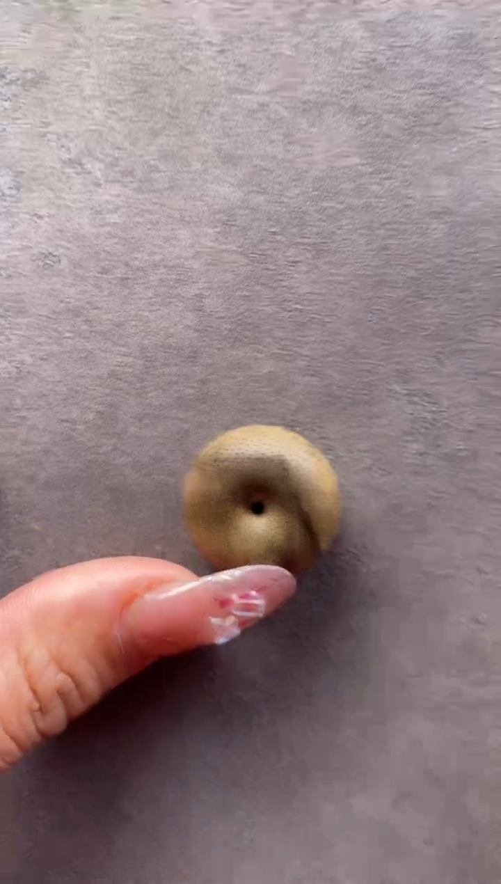 【闪购商品】沉香吊坠柬埔寨沉香 平安扣