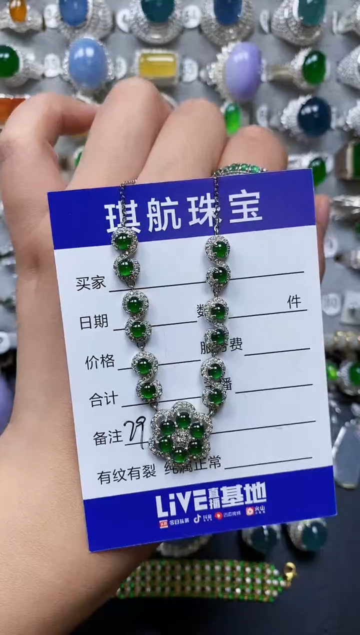 【闪购商品】翡翠颈饰银S925镶嵌0291