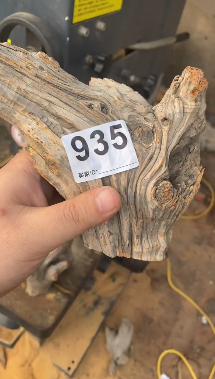 【闪购商品】柏木太行陈化崖柏切片