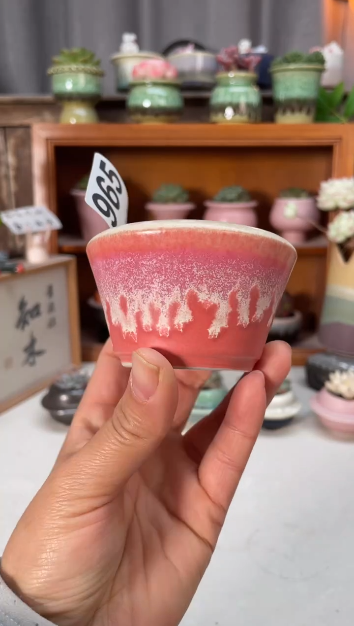 瓷片965小芳直播编号