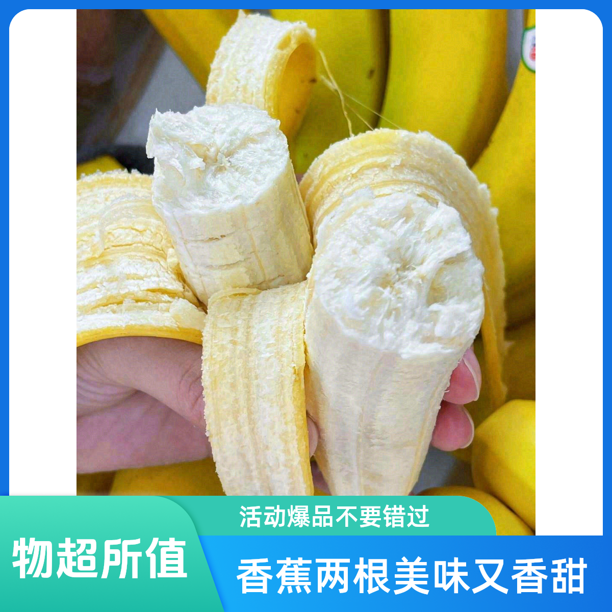 【活动爆品】香蕉1000g