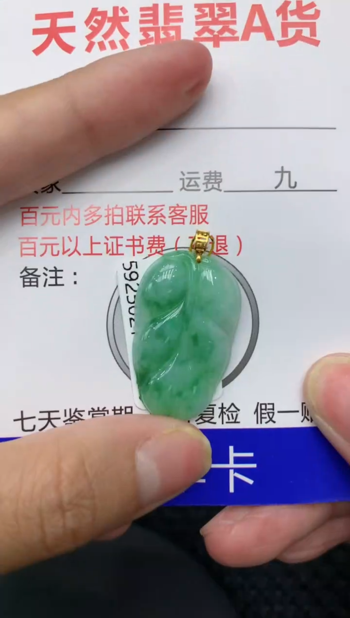 【闪购商品】翡翠颈饰18K金镶嵌11111111111