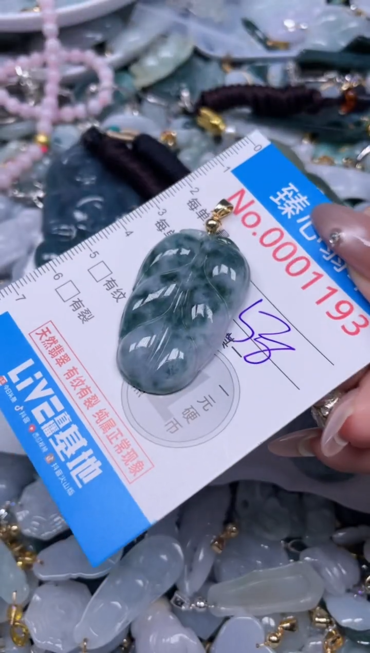 颈饰未镶嵌翡翠1193