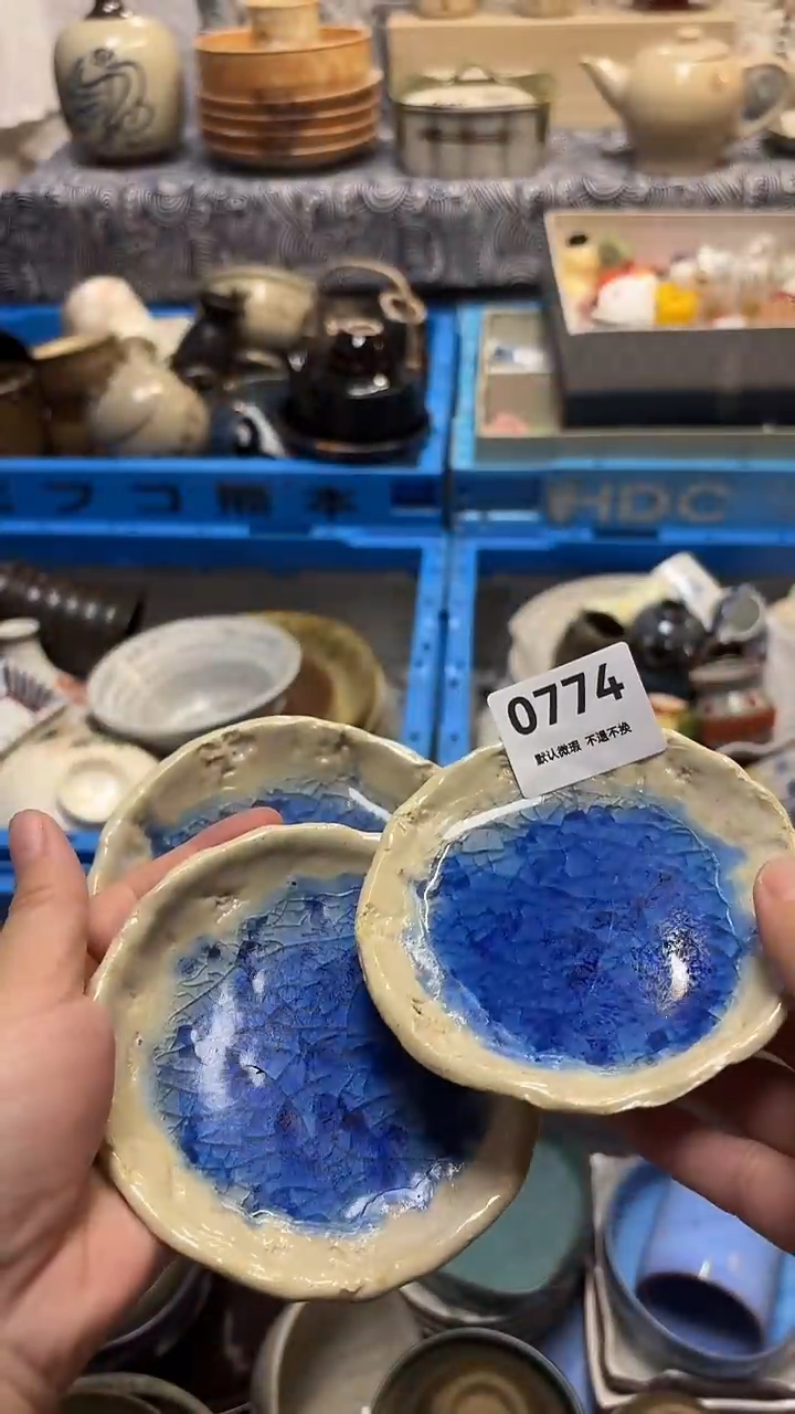 瓷片俗**雅喵喵家都是大漂亮