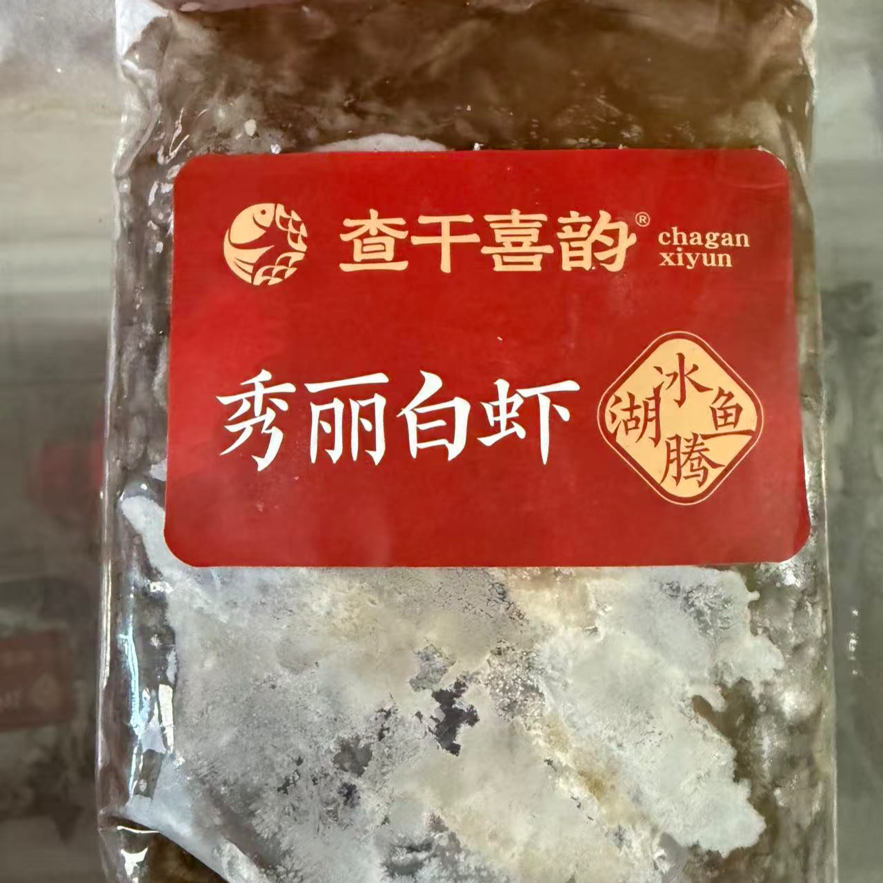 查干喜韵｜秀丽虾