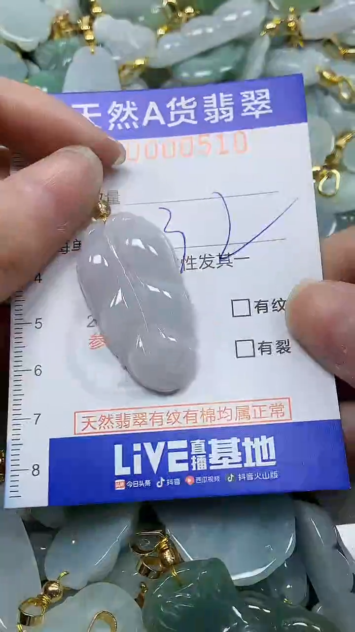 颈饰未镶嵌翡翠纯天然a货翡翠