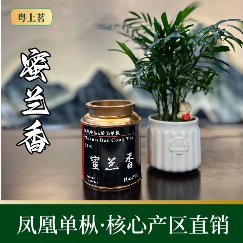 【正春·蜜兰香】高枞蜜兰香单枞 中火碳焙 香薯蜜韵 高山凤凰单丛茶