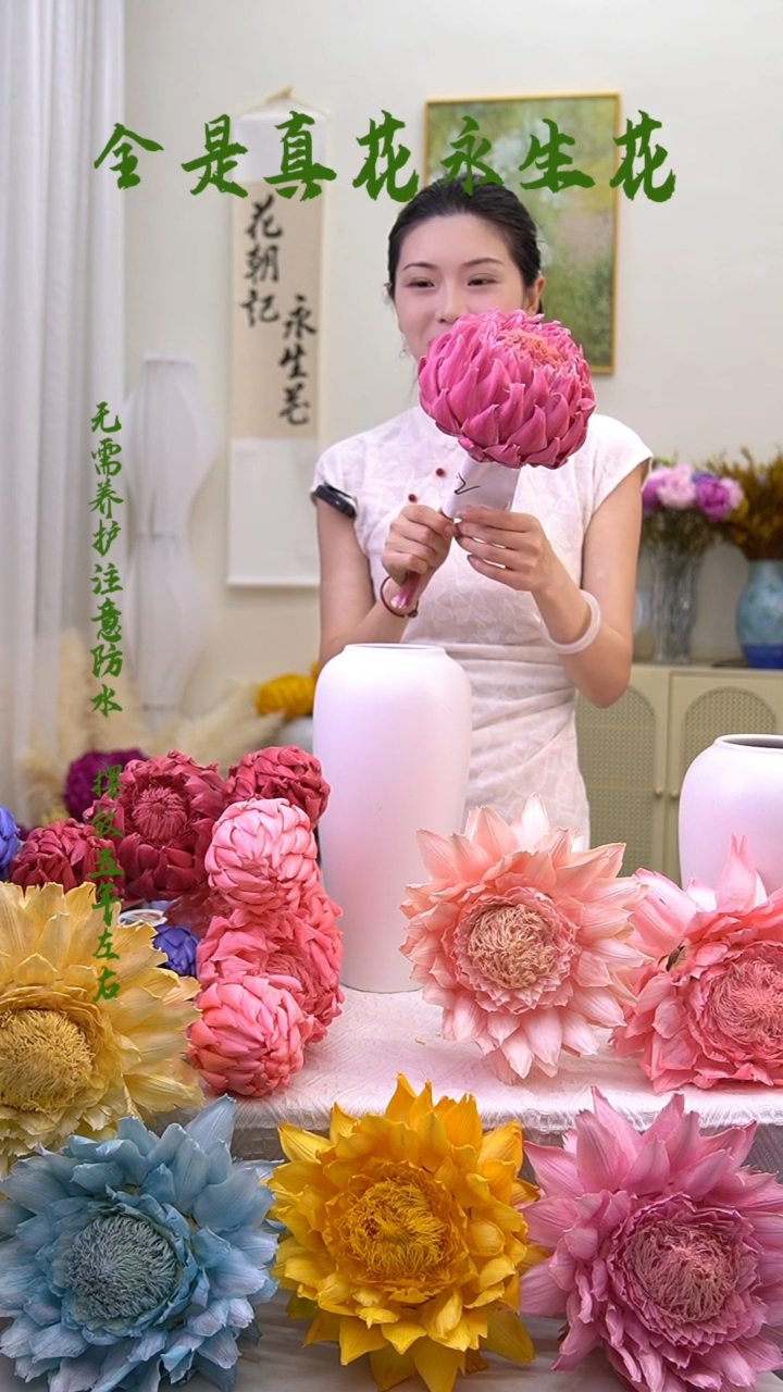 永生样蓟一个头裸粉352