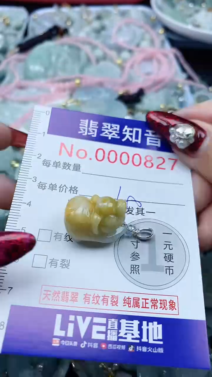 颈饰未镶嵌翡翠827