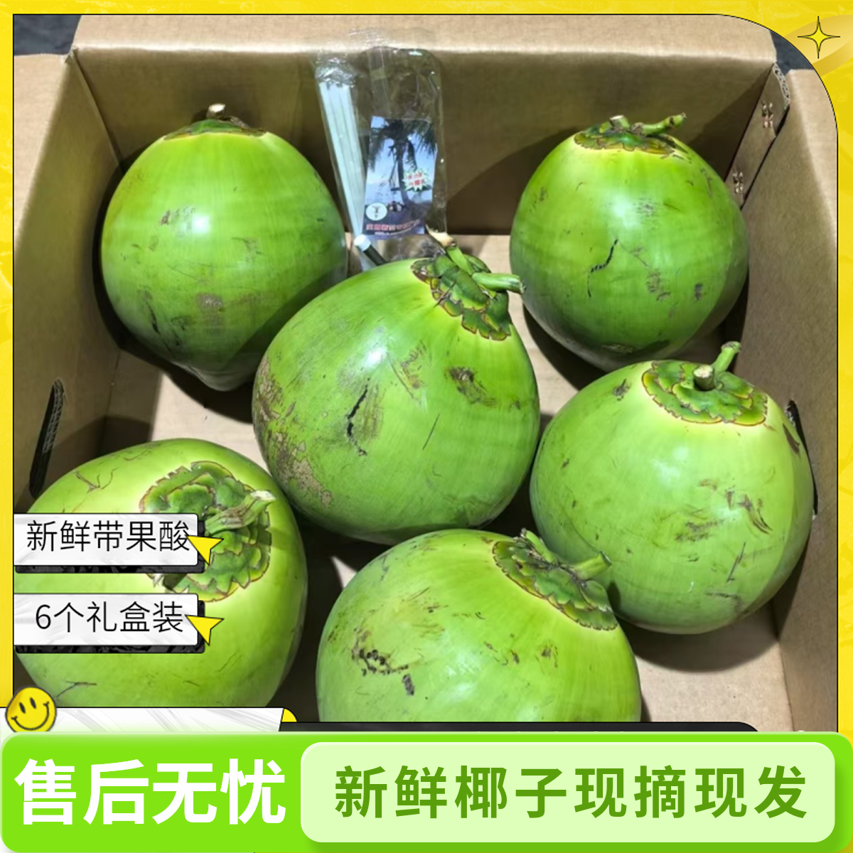 正宗海南文昌东郊青皮椰子6个精品礼盒装自然新鲜带果酸