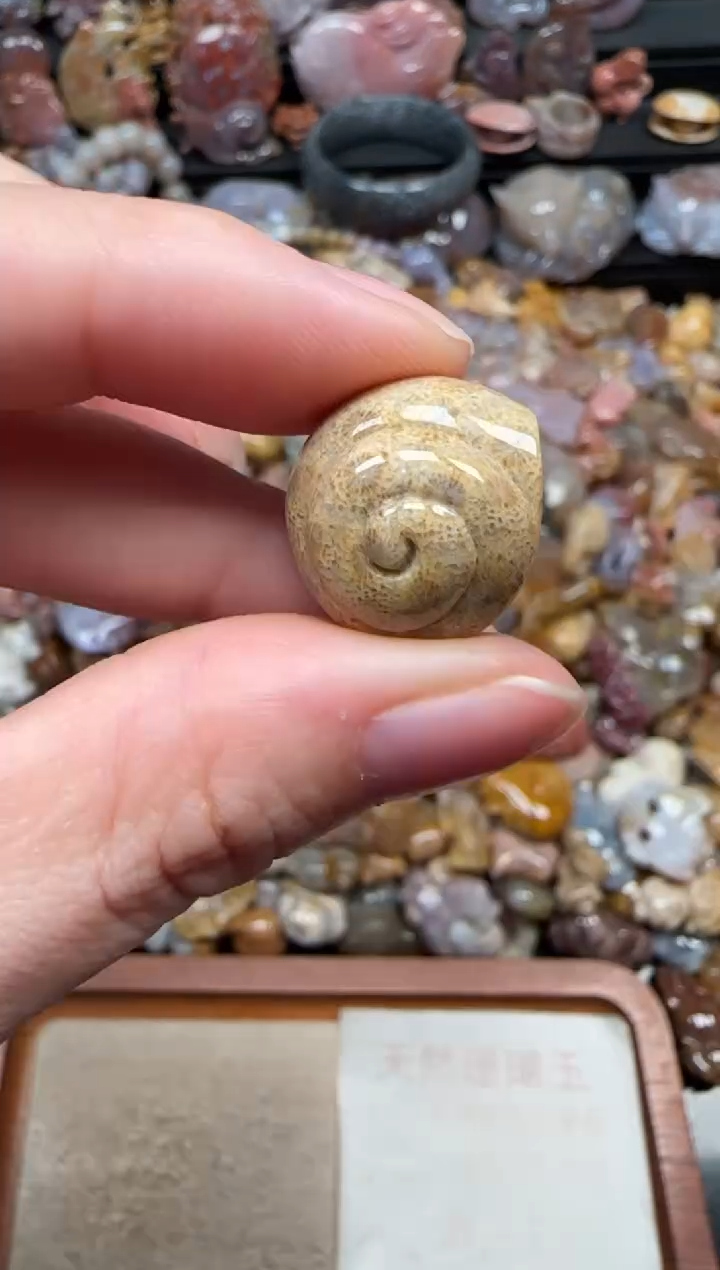 颈饰未镶嵌硅化珊瑚（珊瑚玉）349