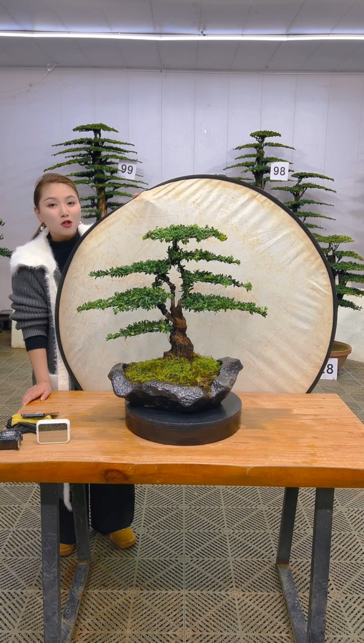 无花朵一物一拍一物一拍