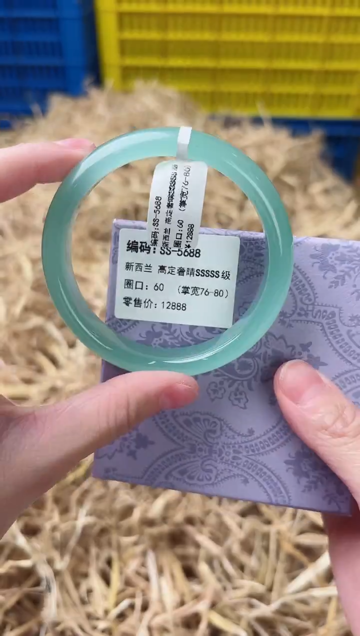 未镶嵌手镯石英质玉SS-5688