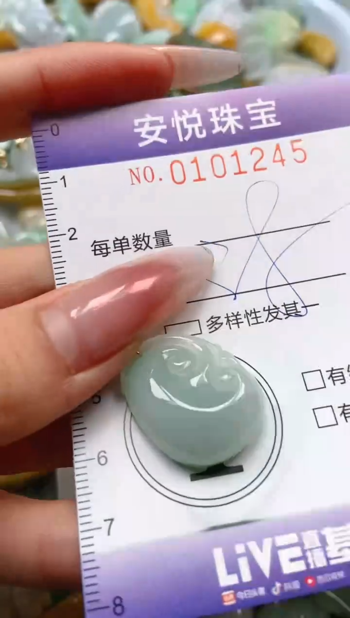 【闪购商品】翡翠颈饰未镶嵌闪购0101245