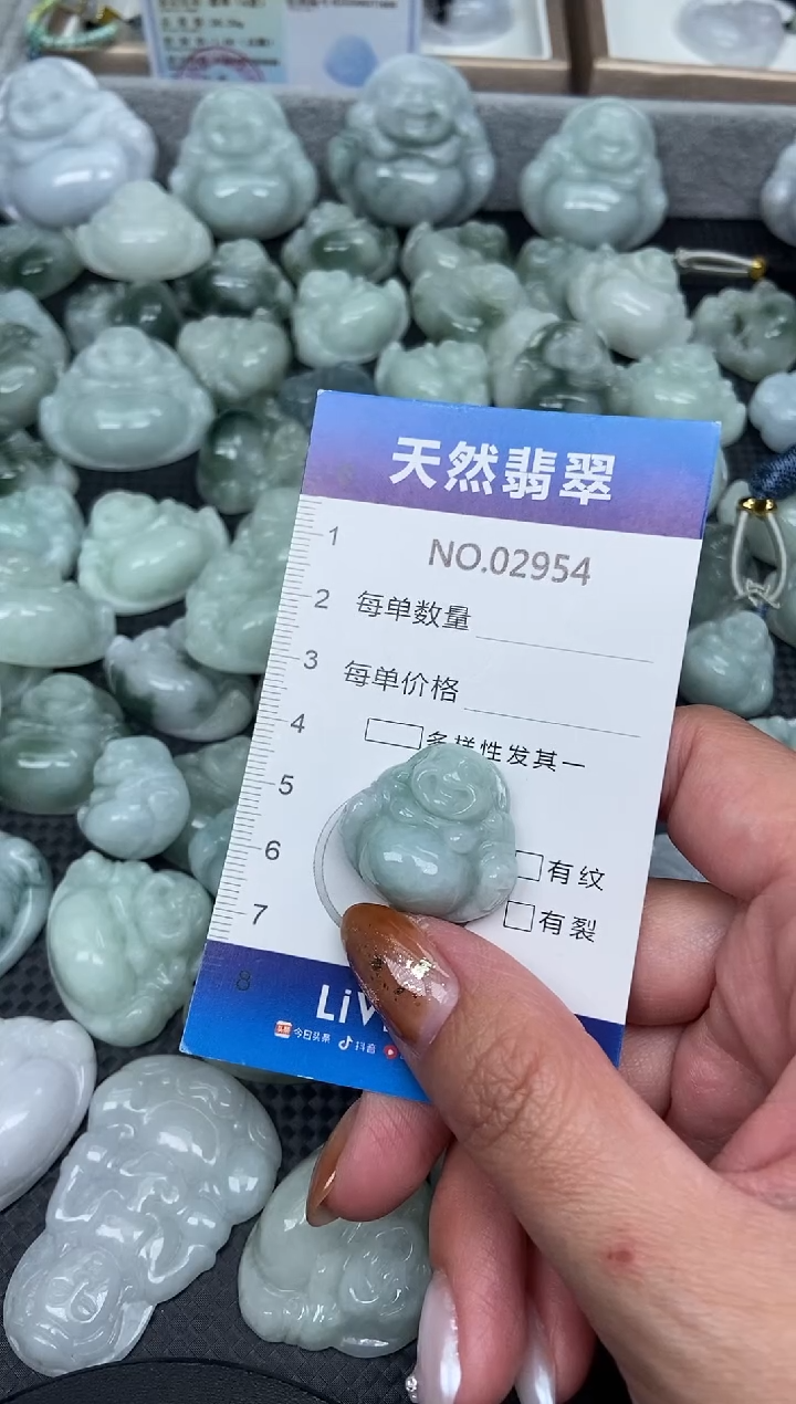 颈饰未镶嵌翡翠纯天然A货翡翠2954