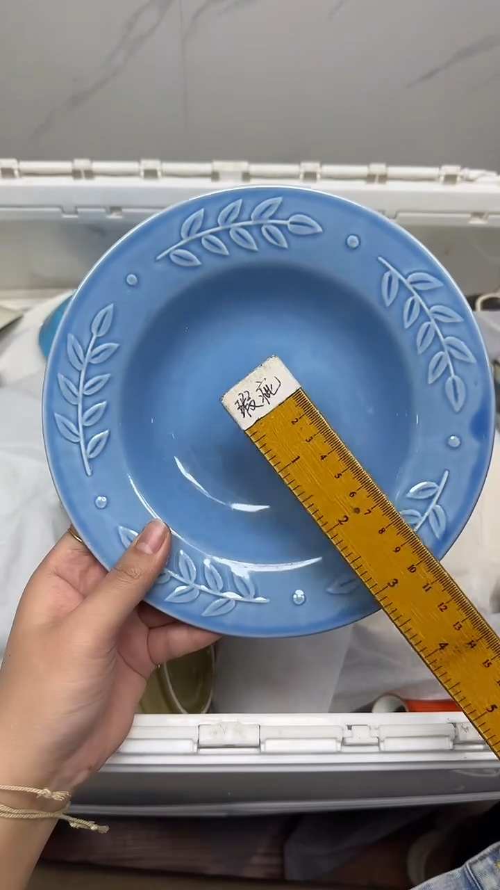 【闪购商品】720回流瓷器默认微瑕，18.8包邮