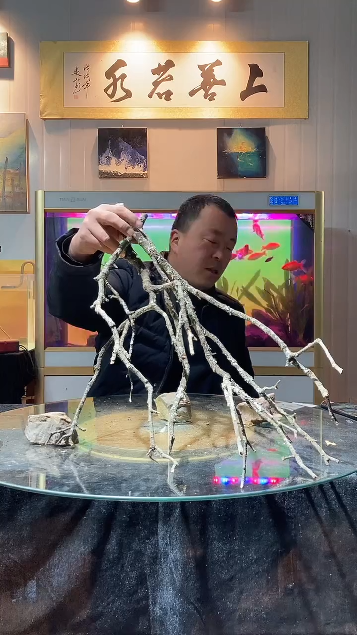 135号天然黄栎木一组适合60-70缸