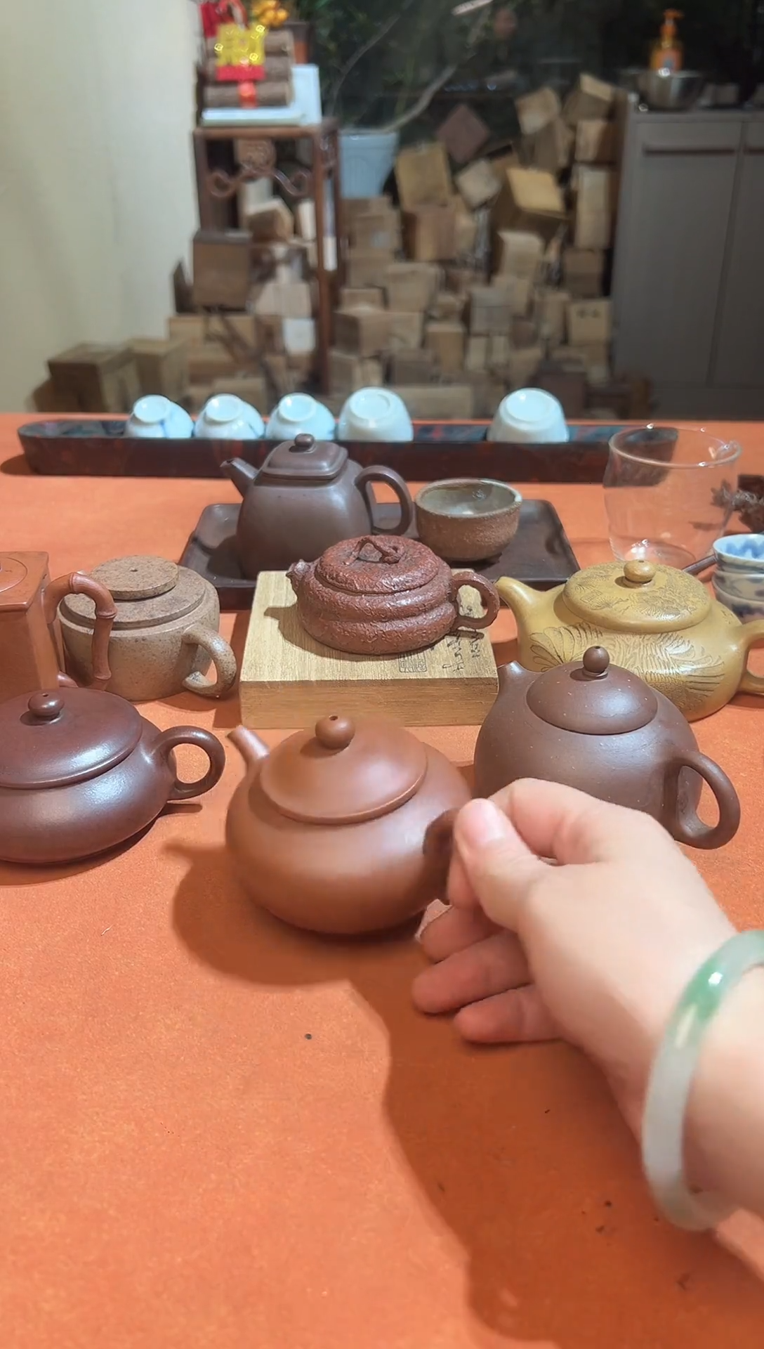 蓝**猫老壶88888888