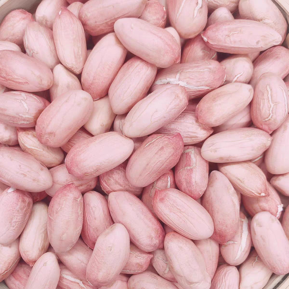 河南花生米粉皮大颗粒原产地