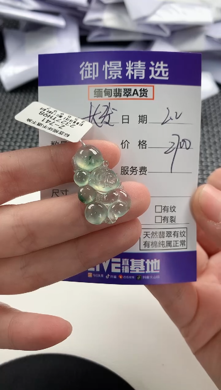 【闪购商品】翡翠颈饰未镶嵌123         