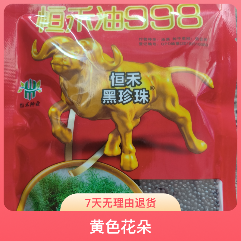 恒禾油998高产耐热耐寒矮杆抗倒出油高新品正宗四川油菜种子正品
