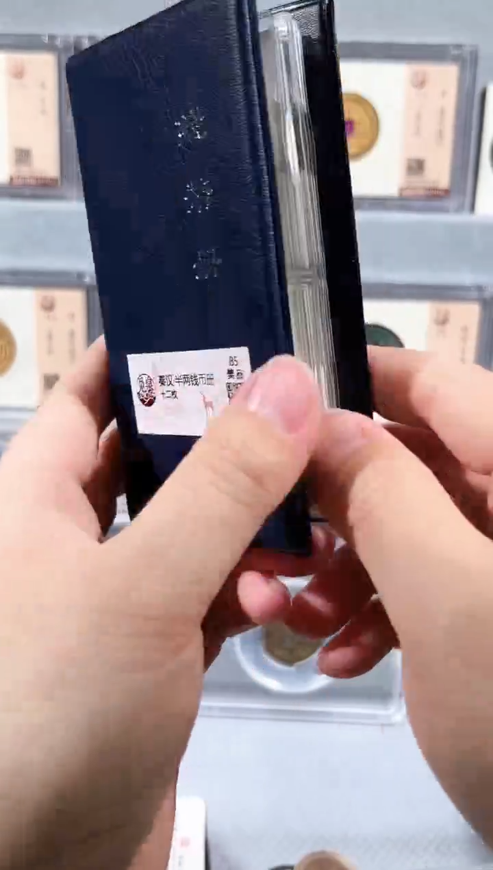 铜带评级半钱币册共12枚