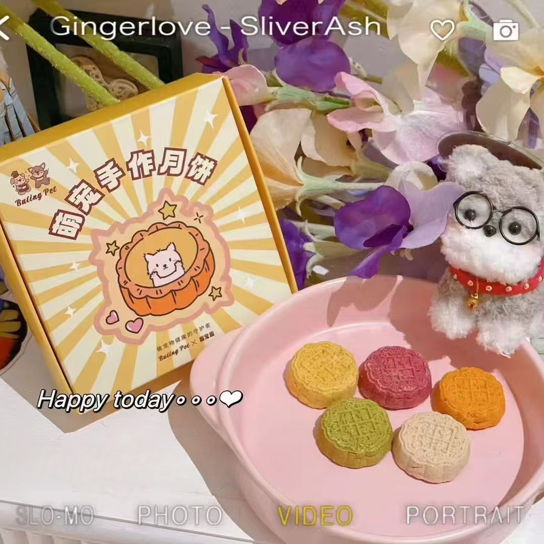 萌宠手作月饼健康无添加猫狗通用磨牙饼一盒