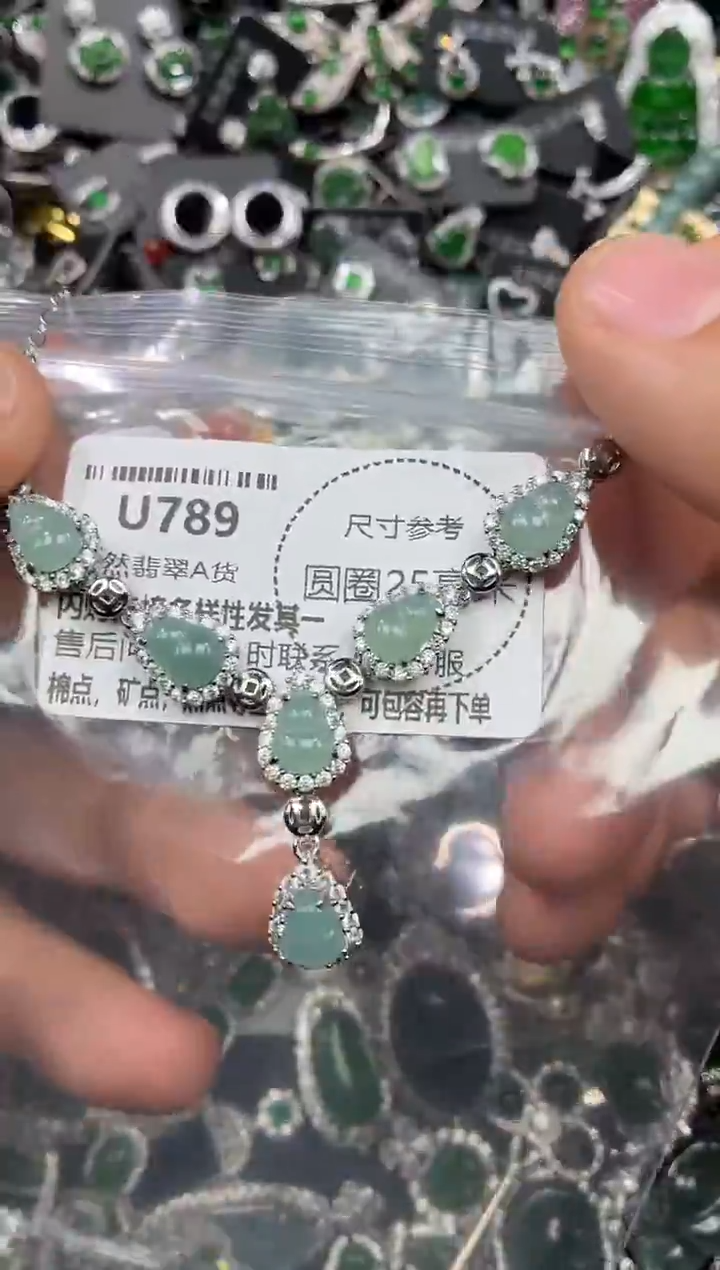 颈饰未镶嵌翡翠U789项链