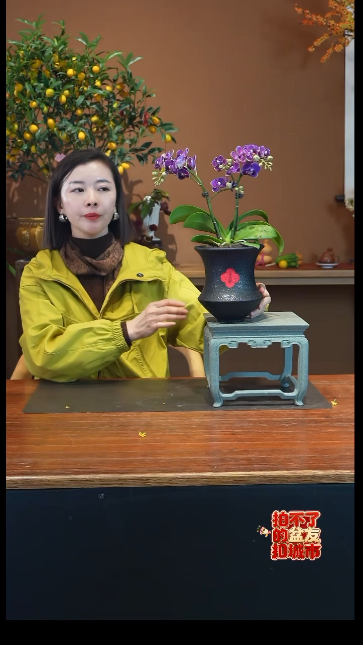 全部花朵紫色花语黑盆