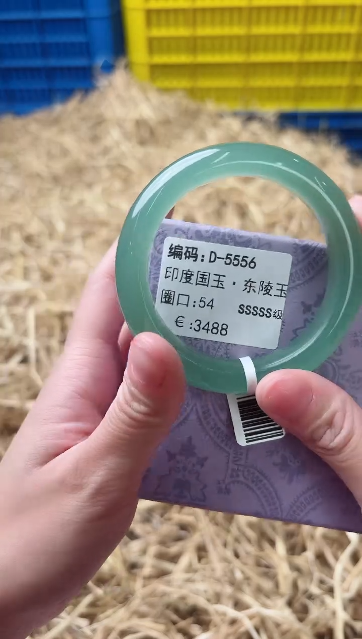 未镶嵌手镯石英质玉D-5556