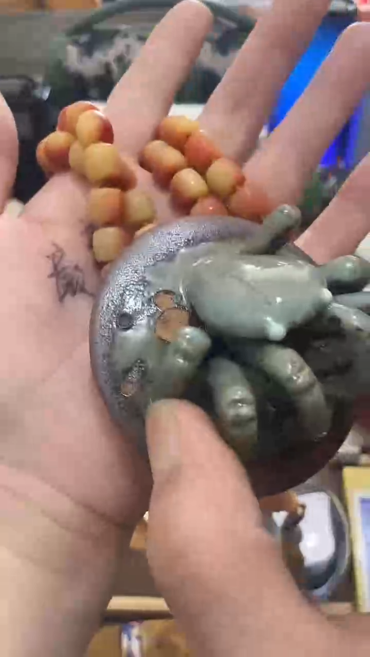 瓷片闪购商品 如图所示