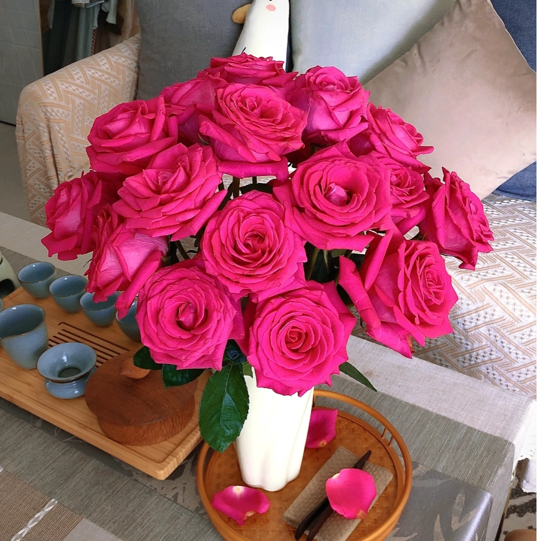 【弗洛伊德AK】10支单头玫瑰   | 单品全场任意满两单鲜花包邮