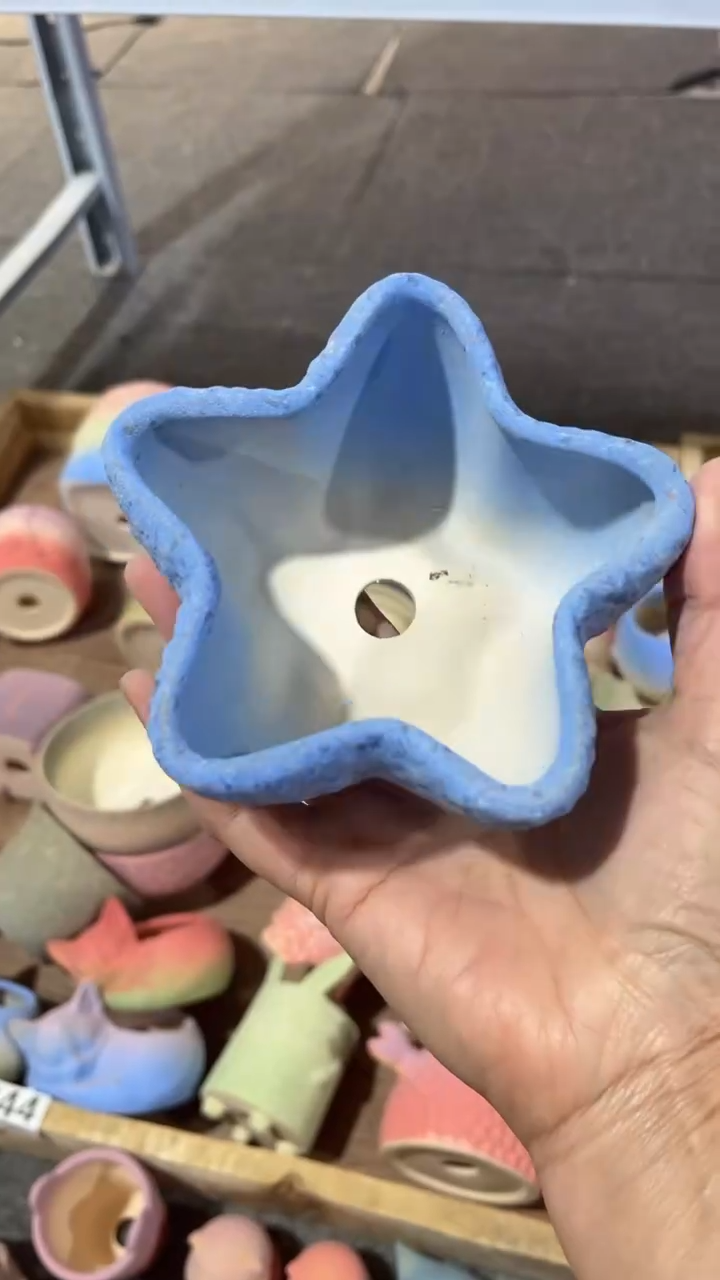 【闪购商品】红陶9*5