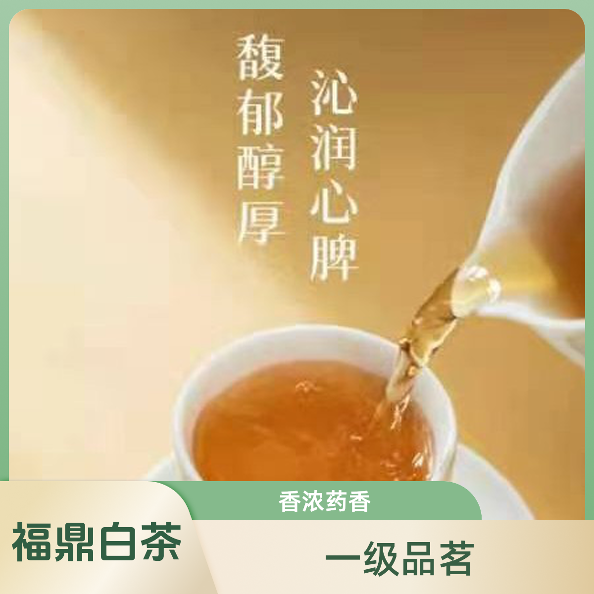 福鼎 老白茶。寿眉一级