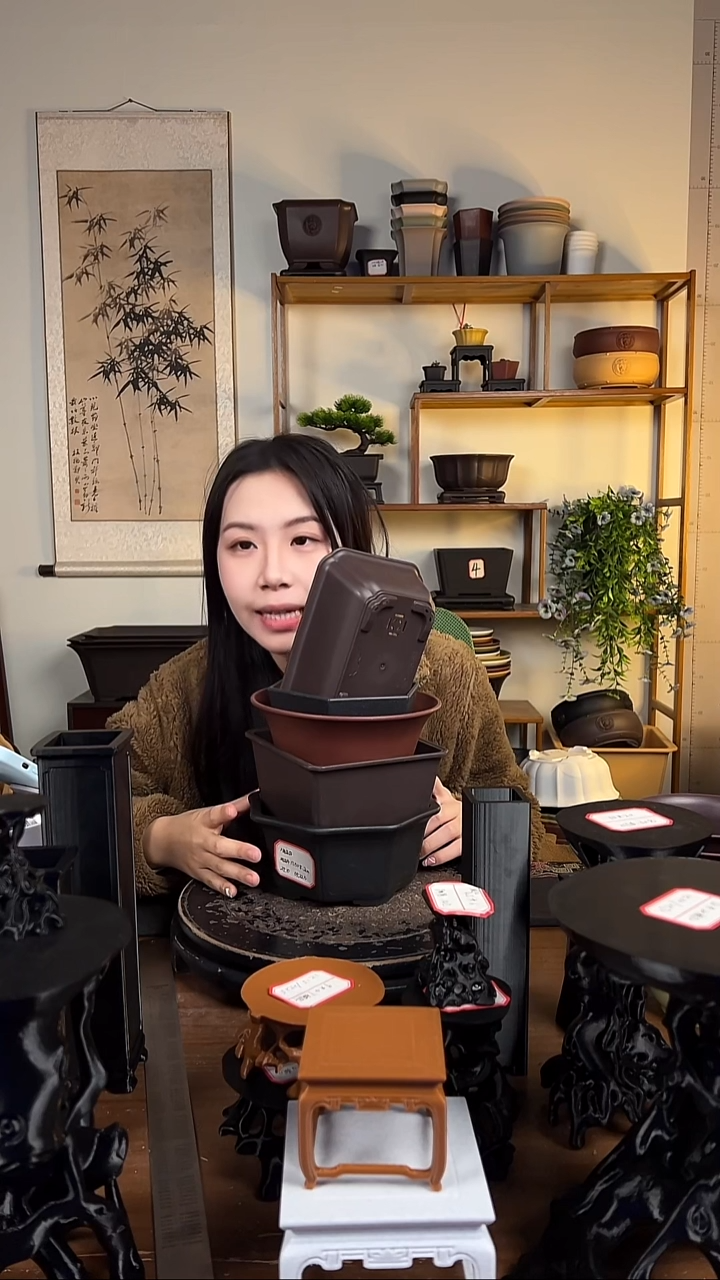 5只紫檀色花盆组合