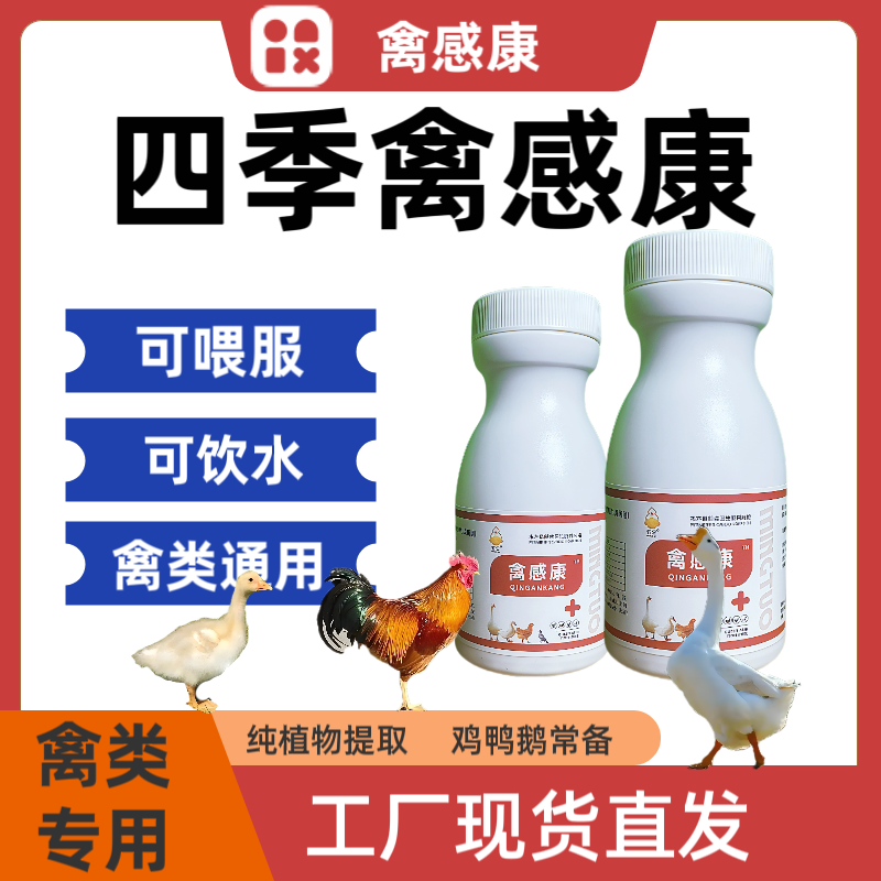 四季禽感康【片剂】鸡鸭鸽兔芦丁鸡鸽子兔子养殖场家禽饲料添加剂