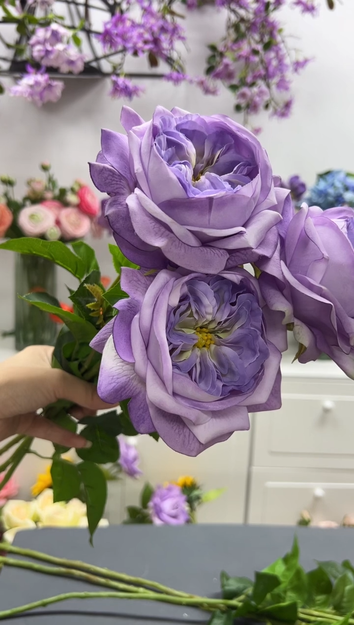 3枝紫色手感保湿朱丽叶