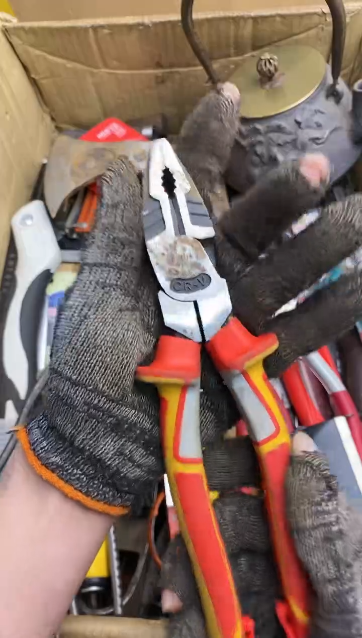 小*五金园艺农具厨具工具闪购