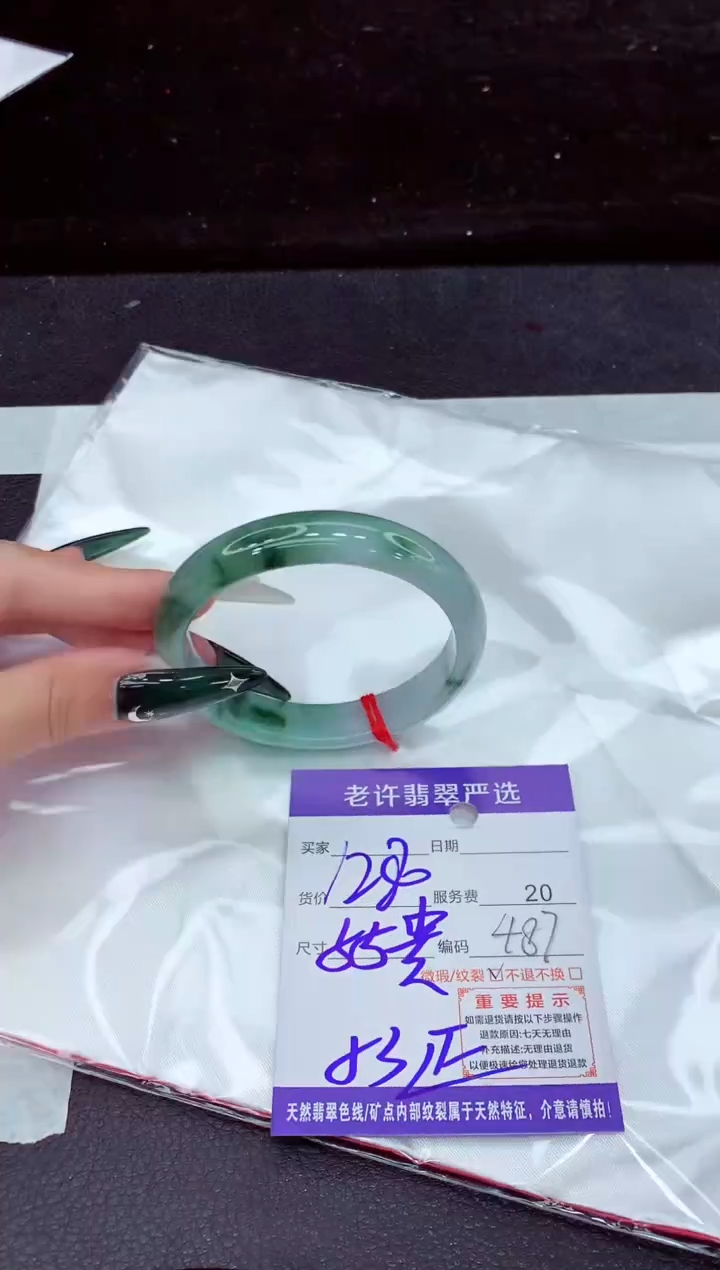 未镶嵌手镯翡翠1