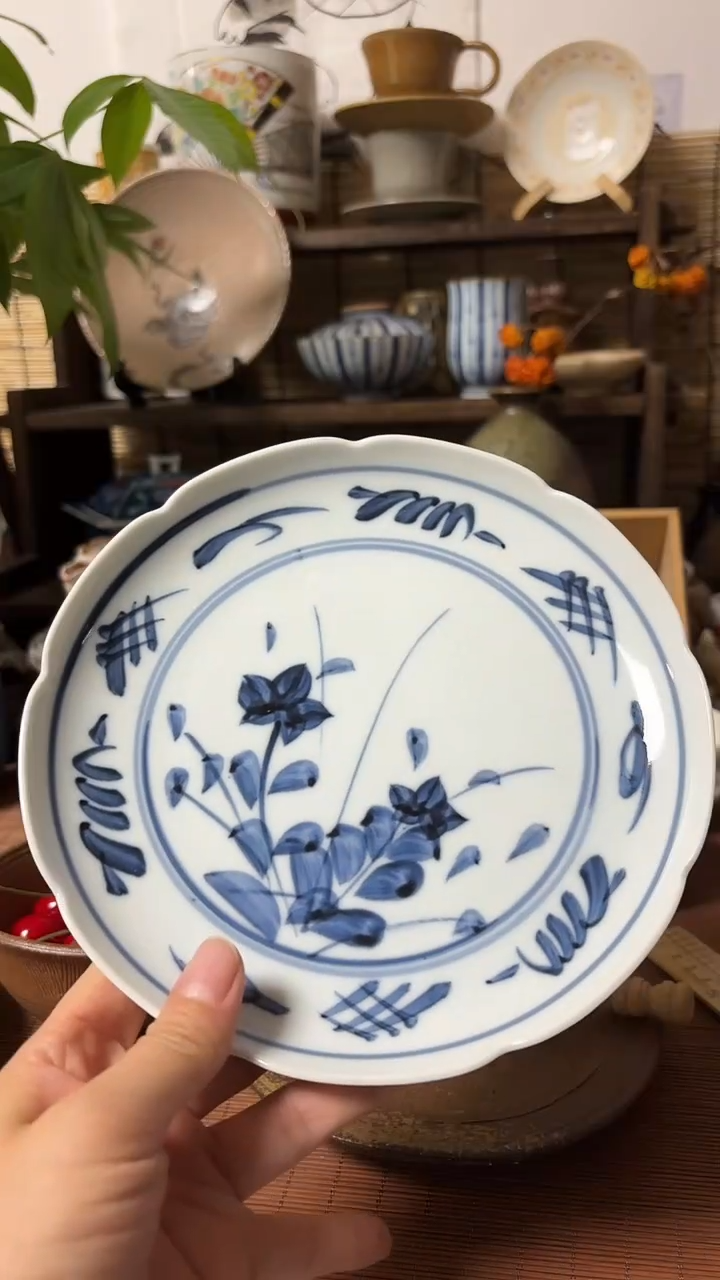 【闪购商品】瓷片喵喵家都是大漂亮