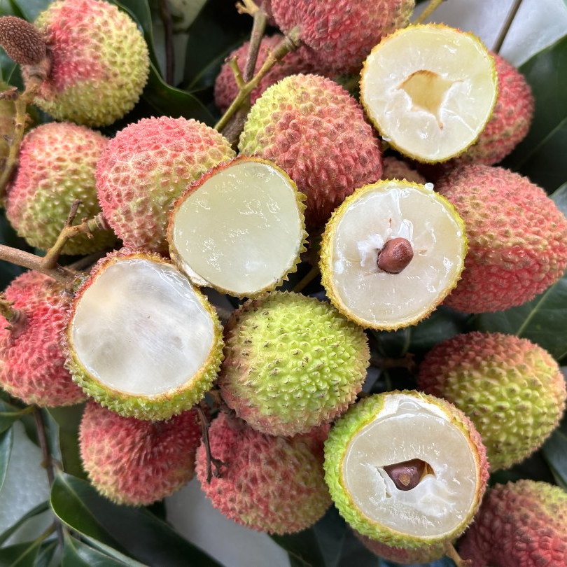 正宗妃子笑新鲜荔枝水果现摘肉厚老树大果当季爆甜多汁