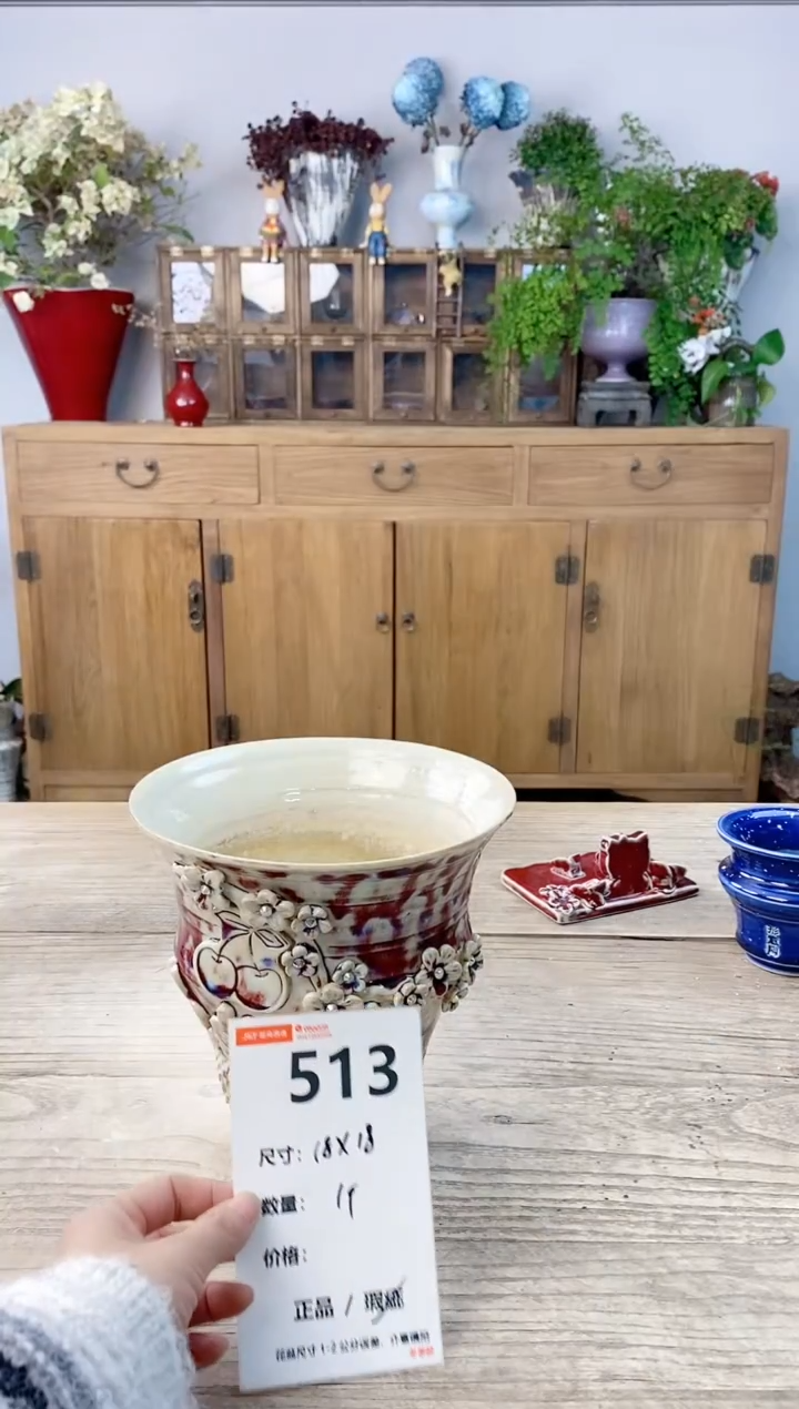 小玩子花盆直播号513