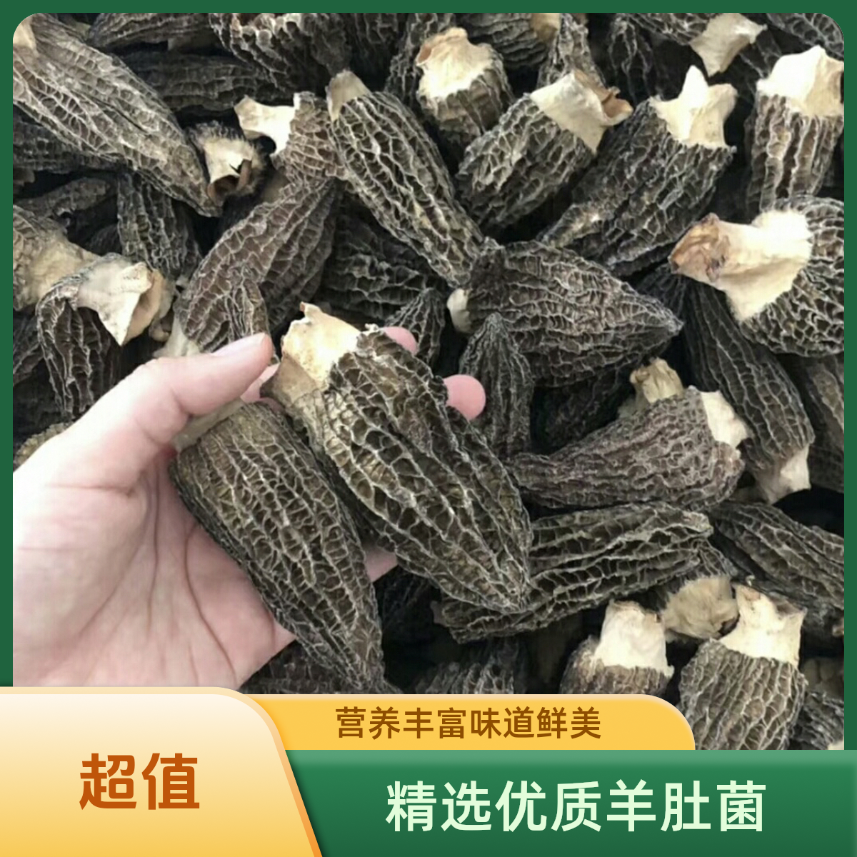 四川大巴山高山头茬羊肚菌干货肉厚饱满菌味浓郁煲汤食材特级