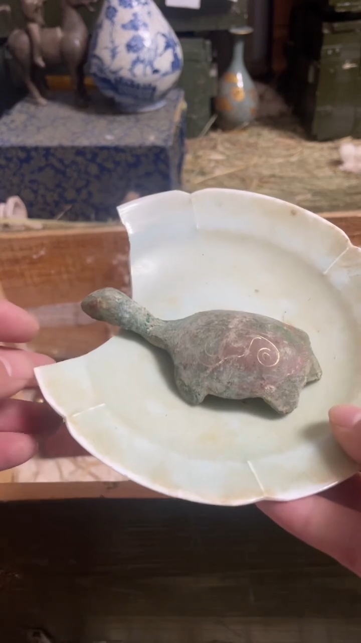 瓷片主播推荐好物