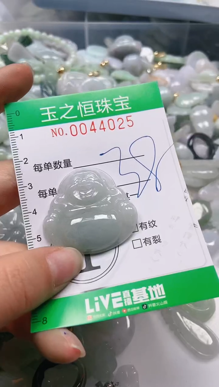 【闪购商品】翡翠颈饰未镶嵌闪购0044025