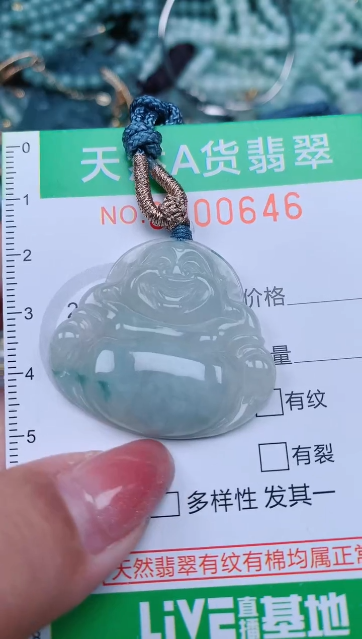 【闪购商品】翡翠颈饰未镶嵌.0000646